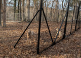 Pet Fence Posts, Corners/Ends, Braces & Parts
