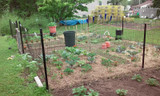 Groundhog Fence Info – Groundhog Fence Kits