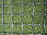 1400 2x2 poly fence
