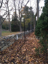 1x1 Steel Web Hex Wire Fence