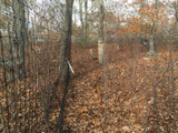 Deer Fence Info - Deer Fencing Supplies