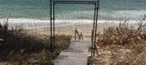 Goose Fence Info – Goose Fence Kits