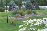 Cat Fence Info – Cat Fence Kits