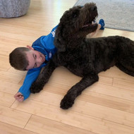 Does My Dog Know I Love Him?