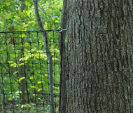 Dog-Proof Fencing: Chew-Protection Solutions for Your Yard