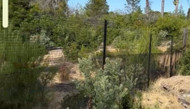 Outsmarting Diggers A Deep Dive into Underground Fence Protection