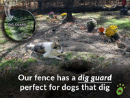 Say Goodbye to Holes: How to Stop Your Dog from Digging in the Backyard