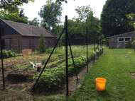7.5 Feet Tall Garden Fence in RI