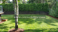 6 Foot Dog Fence, Bill J