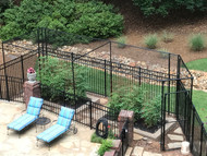 Fencing Over Tomatoes