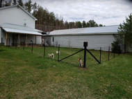 Doggy Playland