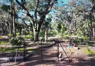 Food Forest Video in Sarasota, FL