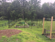 Garden Fence in MA