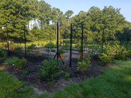 Herb Garden Fence Enclosure