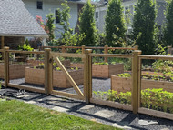 Misha's Raised Beds 