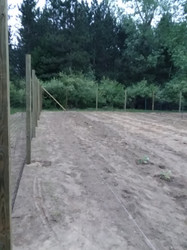 Poly Deer Fence Garden Surround