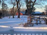 Seasonal Photos of Garden