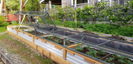 Strawberry Planter Box Cover