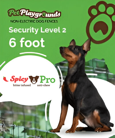 Security Level 2 6 Foot