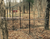 Fence Kit CXO3 (7.5 x 100 Selectable Strength) Most Popular