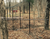 Fence Kit CXO6 (6 x 300 Strong)