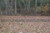 Fence Kit XO11 (6 x 100 Selectable Strength)