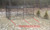 Fence Kit With Top 2 (15ft x 15ft, Poly)
