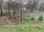 Critterfence® 3x100 Metal Fence (Black – Welded Wire – 2x2 Inch)  PALLET OF 12