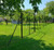 Metal Deer Fence 8ft Tall x 8ft Wide Single Leaf Gate