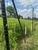 No-Climb 2-Way End Post 2 ½ + one 1 5/8” Brace for 6ft Fences With Sleeve + EZ Brace Hardware