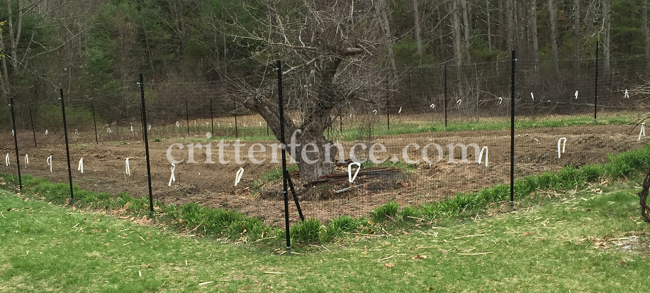 Garden Fence 300 Linear Feet MA - Critterfence.com