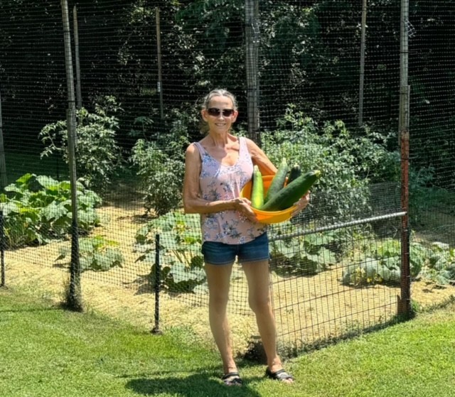Cynthia's Vegetable Garden - Deer Fence