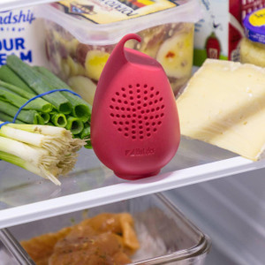 Refrigerator Freshener