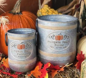 Pumpkin Patch Galvanized Containers Sm or Lg  - DNS