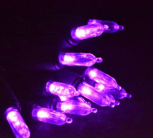 50 LED Mini Purple, Black Cord