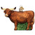 Old World Highland Cow