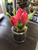Mini Tulips in Glass Jar - Real Look , Ast Colors