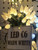 50 LED C6 Warm White, Green Cord