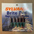 Replacement Bulbs for Sylvania Brite Pro - Oversized NOS