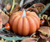 Pumpkin Moving Flame - Carved Orange WHD