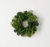 Douglas Fir Candle Ring 4.5"  - Sullivans