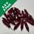 2.5 Volt Red Mini Incandescent Bulb - 5 Bulbs