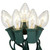 25 Incandescent C7 Transparent Clear Lights on Green Cord - Ritz