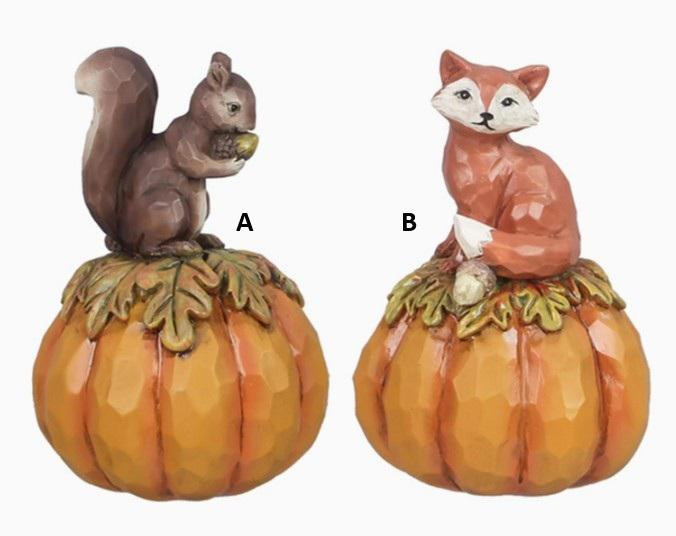 Fox or Squirrel on Pumpkin - Young's