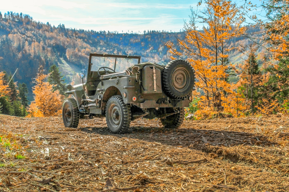 Classic Willys-Overland Jeep: The Built for Anything Classic Quad