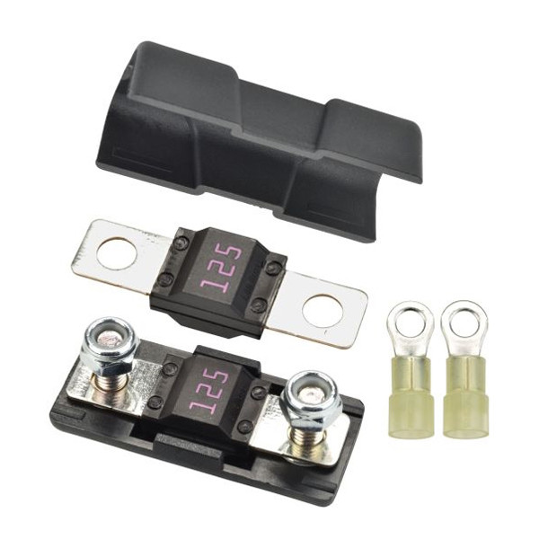 WILL A 250V FUSE WORK FOR 125V visual data 5