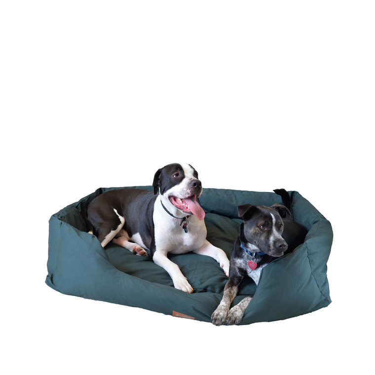 AeroMark International Inc Armarkat Bolstered Dog Bed, Anti-Slip Pet Bed, Laurel Green XL