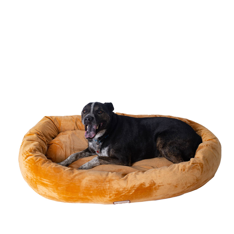 AeroMark International Inc Armarkat Bolstered Pet Bed and Mat, ultra-soft Dog Bed S/M/L L