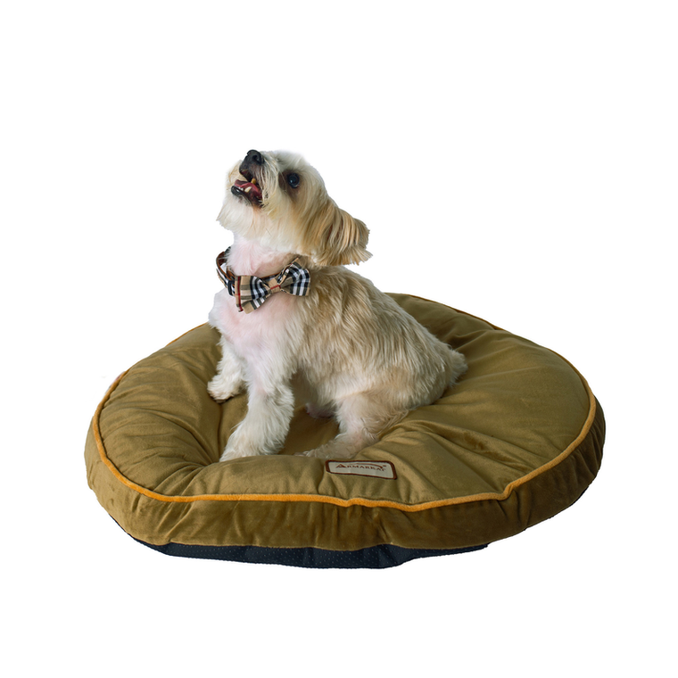 AeroMark International Inc Armarkat Pet Bed Pad, Poly Fill Dog Cushion Bed M04 Sage Green