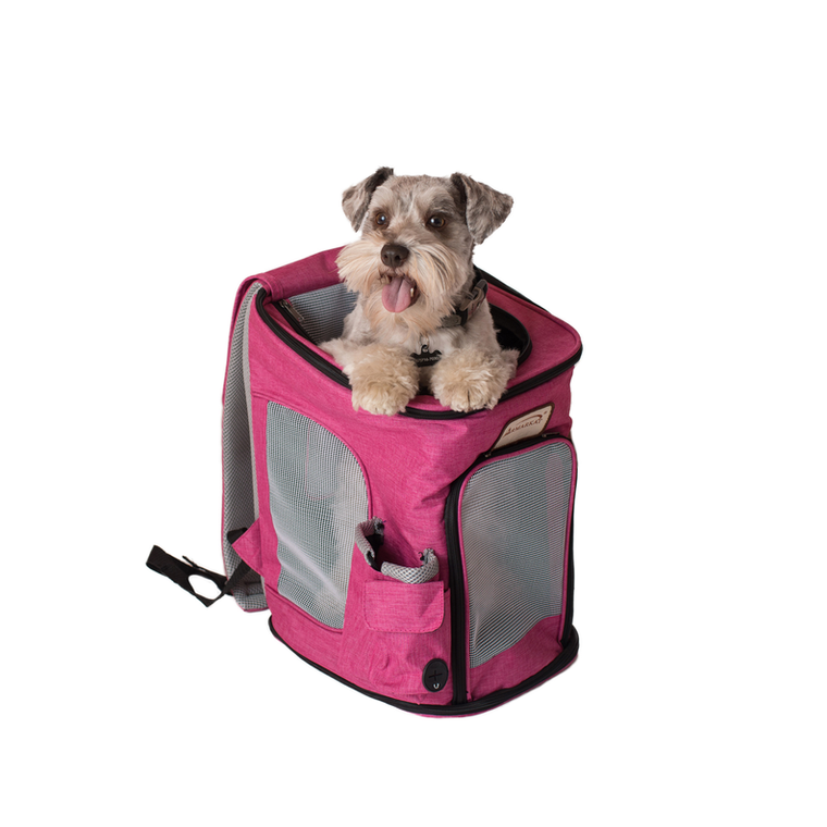 AeroMark International Inc Armarkat PC301P Pets Backpack Pet Carrier In Pk and Gy Combo